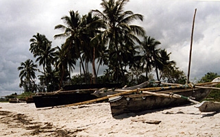 Fiskebåtar på stranden i Bagamoyo